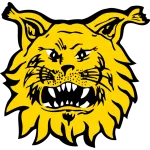 Ilves